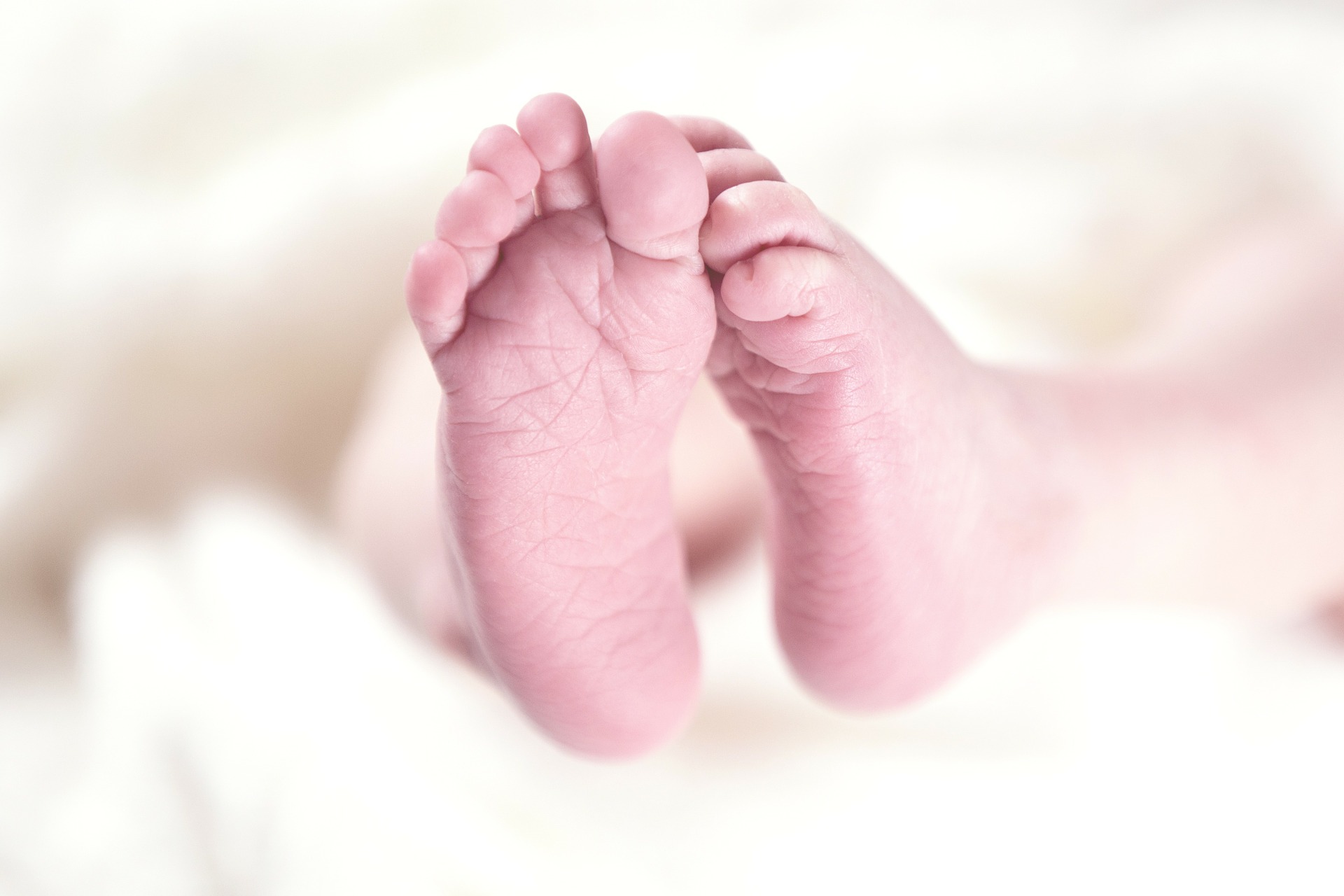 Learn to Talk to Abortion Minded People